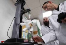 Μελέτη για επικίνδυνα παιχνίδια safety