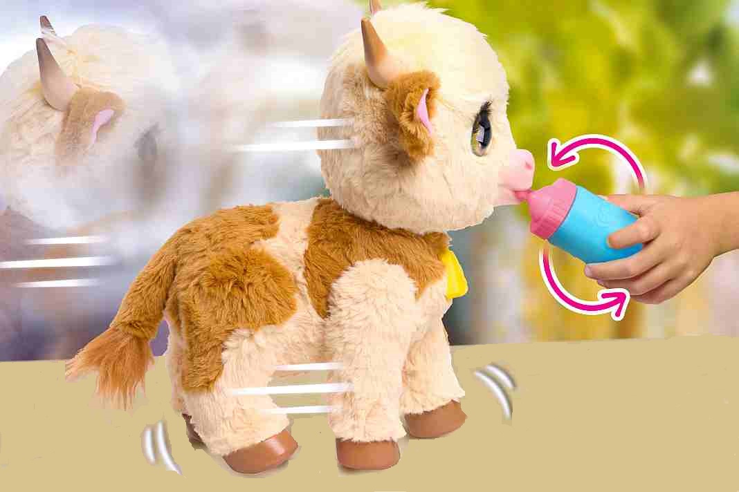 toymaster-maggie-1 toymaster-maggie