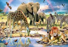 Παζλ Σαφάρι toymaster-safari