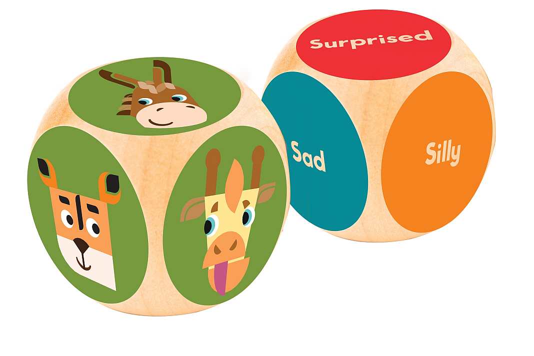 toymaster-mimic-mirror-1b toymaster-mirror