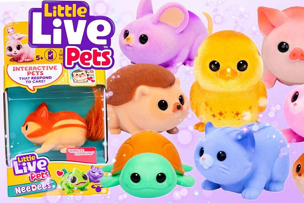 toymaster-needees-1 toymaster-needees-1