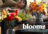 Blooms by Play-Doh toymaster-blooms