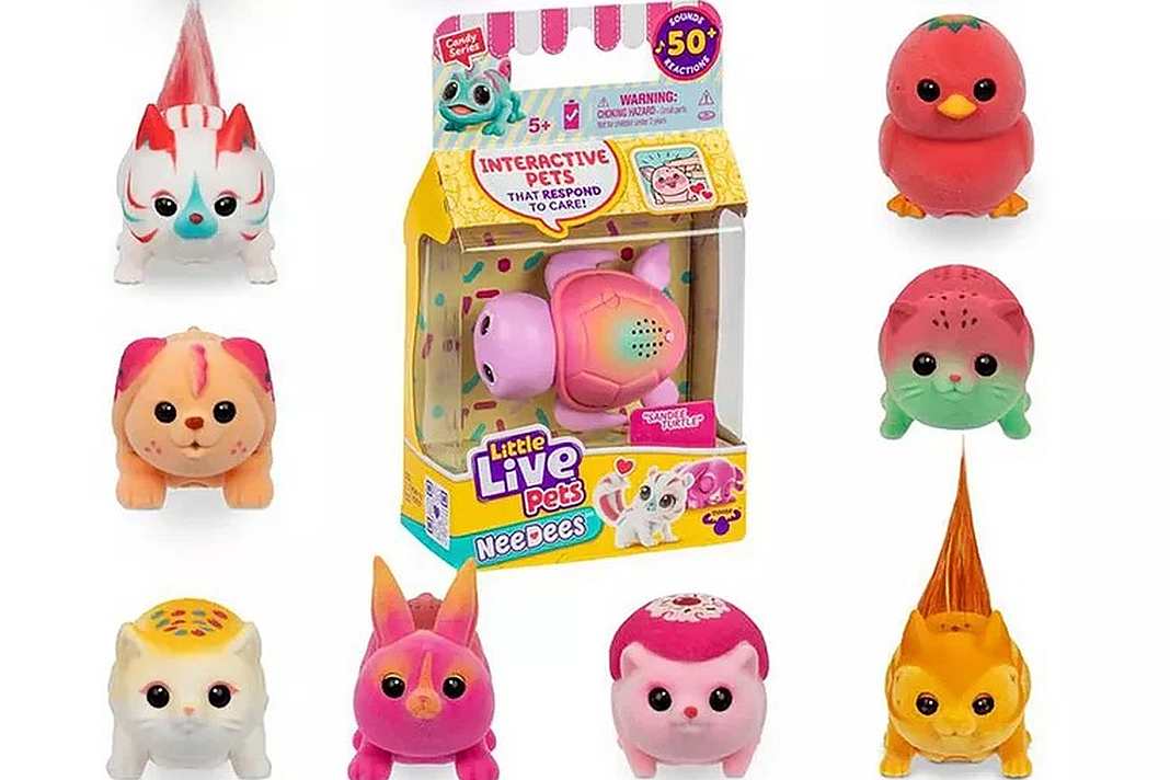 toymaster-needees-1 toymaster-needees